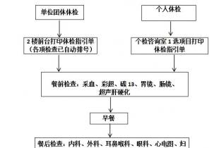 体检流程