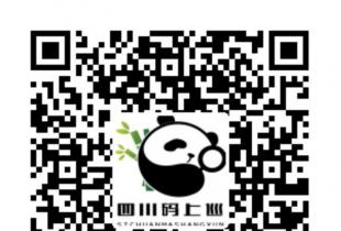 市委第三巡察组巡察西昌市人民医
