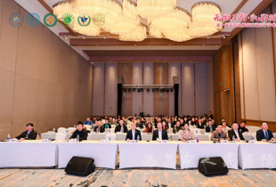 我院甲状腺乳腺外科主任李刚当选